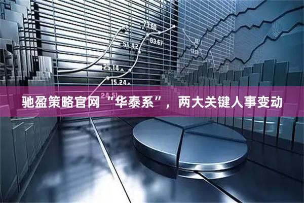 驰盈策略官网 “华泰系”，两大关键人事变动
