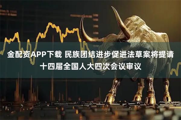 金配资APP下载 民族团结进步促进法草案将提请十四届全国人大四次会议审议